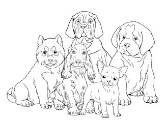 Saint Bernard, Siberian Husky, Mastiff, Chihuahua, сocker spaniel puppy. Cute dogs puppies. Coloring template. Digital illustration.	