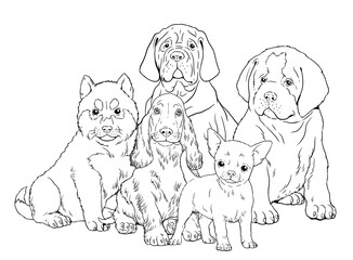 Obraz premium Saint Bernard, Siberian Husky, Mastiff, Chihuahua, сocker spaniel puppy. Cute dogs puppies. Coloring template. Digital illustration. 