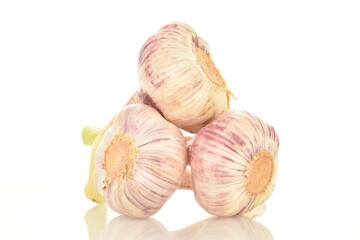 Three organic heads of garlic, close-up, isolated on white.