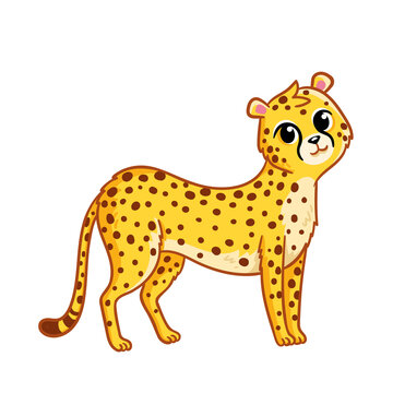 Cute cheetah stands on a white background. Vector illustration in cartoon style