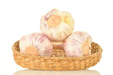 Three heads of fragrant ripe garlic in a straw bowl, close-up, isolated on white.