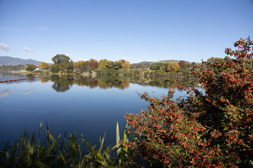KARAPIRO DAM, WAIKATO, NEW ZEALAND.