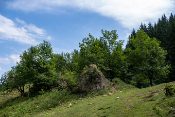 Fototapeta na wymiar Ruine de ferme dans la forêt