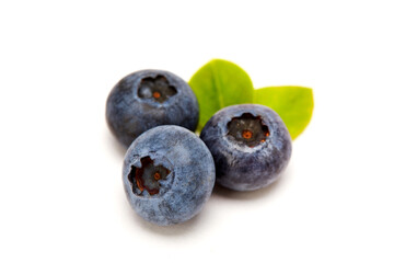 Blueberry on a white background.
흰 배경 위의 블루베리