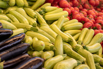 Varieties of vegetables sold at the grocery store. Eggplant, zucchini, tomato. Food background