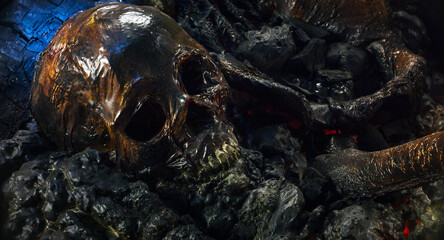 Human skull and remains of bone, ribs close rotation. Halloween, cinema prop sfx