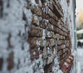 old brick wall