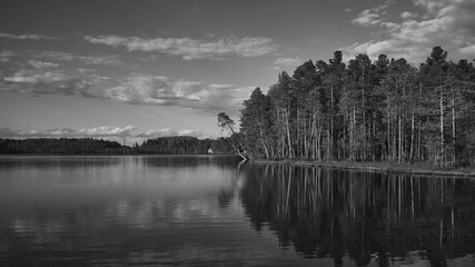 Beautiful landscapes in the summer season, taiga lake  and sunlight with pine trees on the shore, Siberia, Russia. Black and white photos.