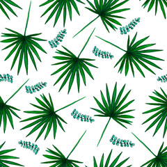 Watercolor hand drawn different leaves pattern, palm leaves pattern isolated