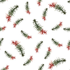 Semless watercolor pattern branches of spruce. Background with forest moss. Moss, wild grass. Design for wrapping, packing, textile, fabric, scrapbooking, home decoration, invitation, cards