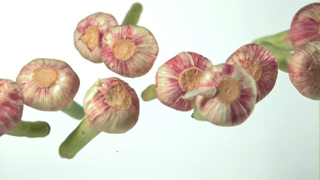 Super slow motion garlic falls on a white background. Filmed on a high-speed camera at 1000 fps. High quality FullHD footage