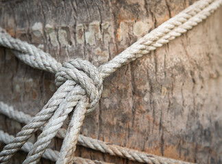 Fototapeta na wymiar Hemp rope is tied in a knot to a large tree trunk.