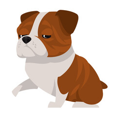 English bulldog giving paw. Beautiful pet in cartoon style.