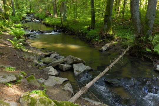 Creek Brodec at Velký Blaník, Czech republic, Europe
