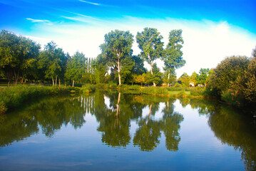 Obraz premium beautiful pond