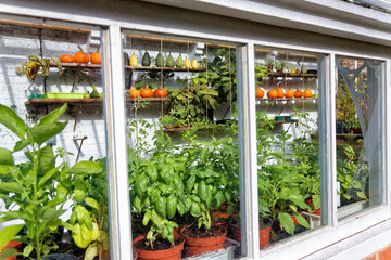 Greenhouse filled with plants.