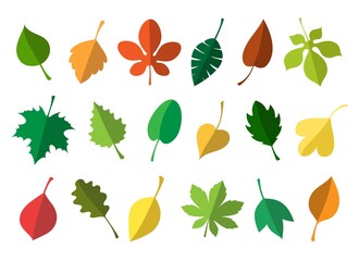 Simple autumn leaves