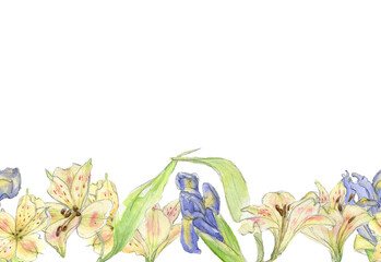 Obraz premium Decorative seamless stripe of watercolor pastel yellow and blue iris flower, green leaves drawn by hand. Illustration in sketch style on a white background.