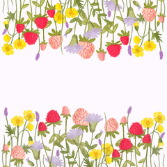 A frame of wildflowers on a white background. Hand-drawn bluebells, clover, buttercups. Watercolor hand drawing. - 439279693