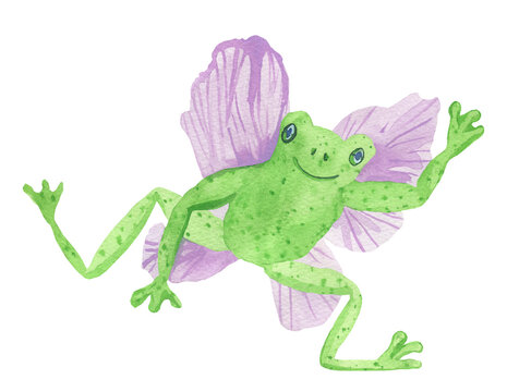 Watercolor cute green fairy frog with wings isolated background. Mystical illustration for halloween hand painted. Design for social media, cards, packaging, sticker, invitation card, web,print.