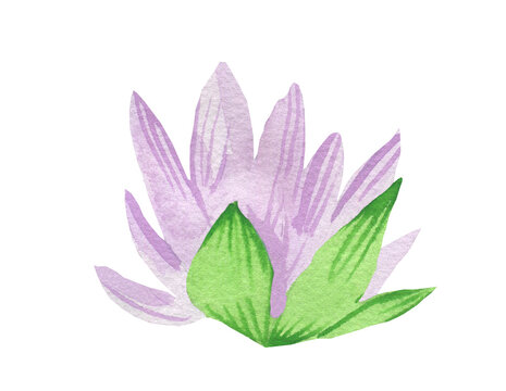 Watercolor cute purple water lily with green leaves on white isolated background.Mystical and botanical illustration for halloween hand painted.Design for cards,packaging,sticker,invitation card.