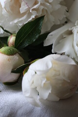 Peonies summer bouquet