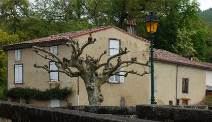 a traditional street lantern next to a dry tree and in front of a country house, Le Mas d'Azil, France