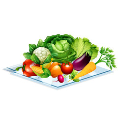 Realistic fresh vegetables on the tablecloth, vector