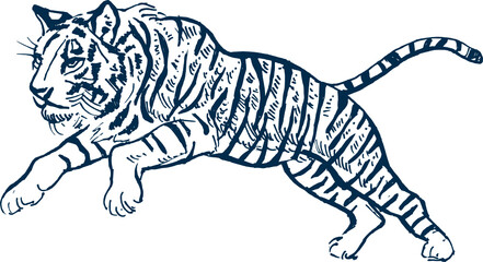 Fototapeta na wymiar tiger hand drawn illlustration. wild animal safari