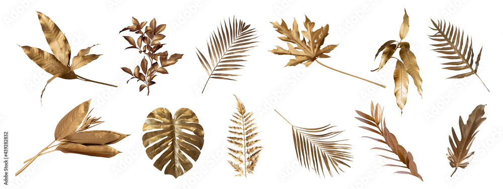 Wall mural Tropical leaves in gold color on white space background.Abstract monstera leaf decoration design.clipping path