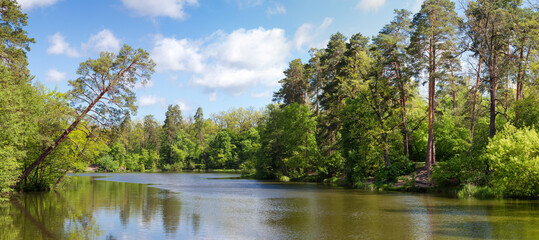 Lake with coniferous and deciduous forest on shores, panoramic view