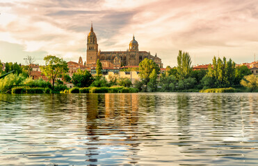 Fototapeta na wymiar Cathedral of Salamanca in Spain