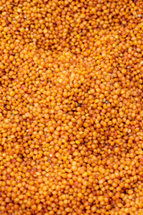 Red Lentil. Close-up lentil grains. Lentils as background texture