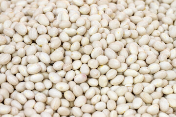 İspir Fasülye. Close-up bean grains. Beans as background texture