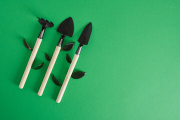 Gardening tools on green background. Garedeining concept