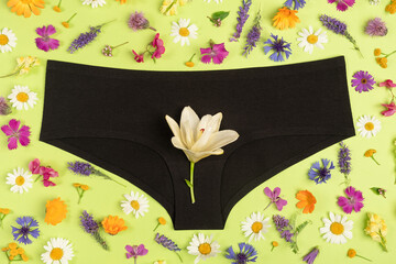 Black panties and colorful flowers on green background, close up. Concept Keep your vagina healthy...