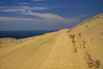 View on empty dirt sand track along pacific coast, Pan de Azucar, Chile