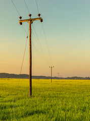 Stunning rural farmland landscape, wooden energy poles, and power cables vanishing on the horizon in the beautiful morning sunshine,
