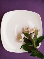 White flowers on a plate. Purple background. Blooming cherry twig. Copy Space. Decor, festive table setting, romance