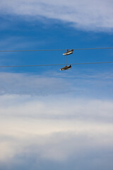 Shoes hang on wires, sneakers are thrown on wires and hang on them holding on to the laces.
