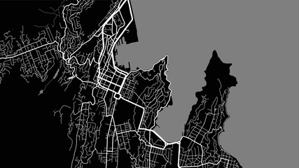 Black and white Wellington city area vector background map, streets and water cartography illustration.