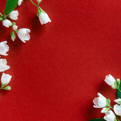 Beautiful white jasmine flowers on a red background. Flat lay with copy space for the wedding, birthday, party or other celebration.