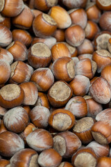 Shelled hazelnuts. close up. Shelled hazelnuts as background texture
