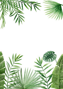 Tropical leaves card template. Green palm jungle florals. Watercolor free-hand illustration for card, wedding invitation, banner, event flyer, poster, presentation, menu, lifestyle