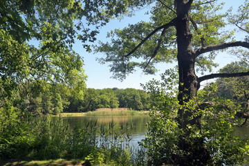 volkspark jungfernheide