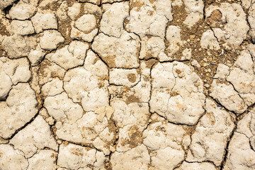 dried crack land