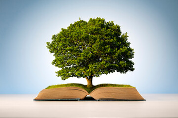 Book or tree of knowledge - obrazy, fototapety, plakaty