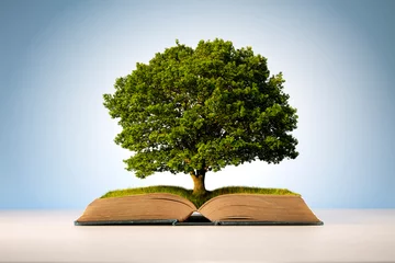 Fotobehang Book or tree of knowledge © Brian Jackson
