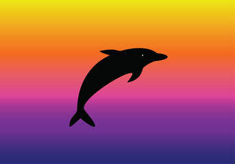 dolphin