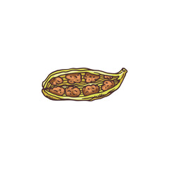 Cardamom pod with brown seeds inside - cartoon drawing of raw spice